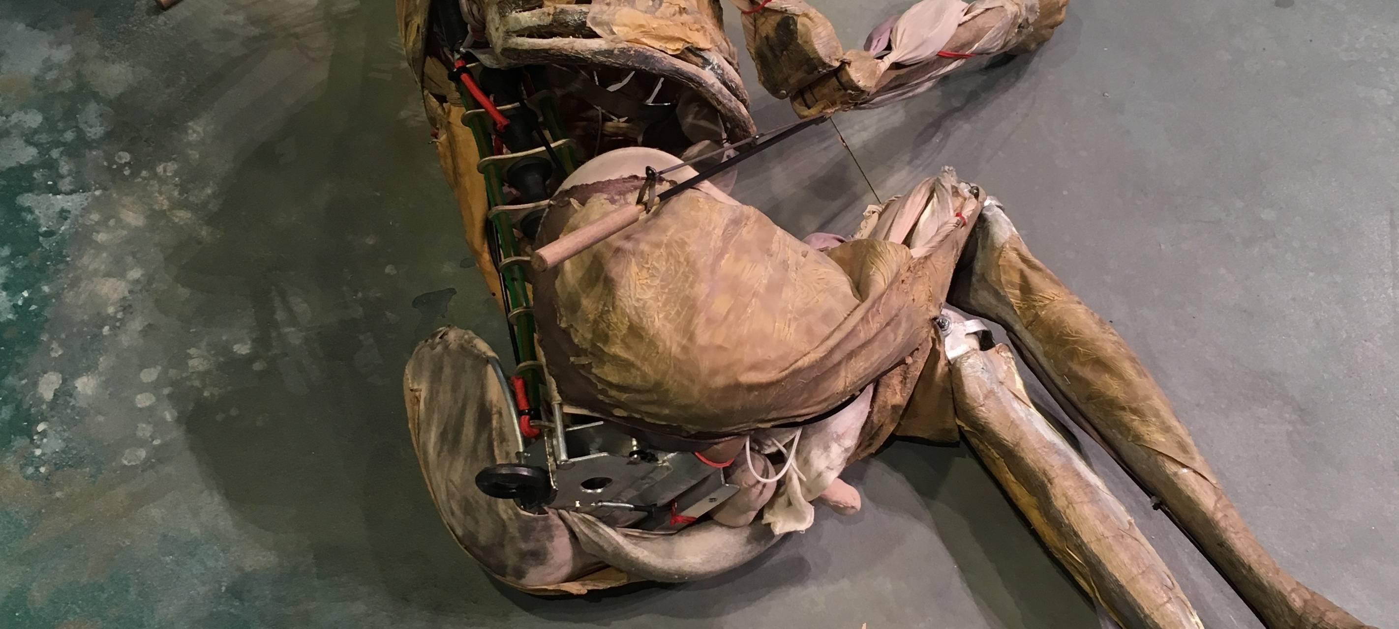 Besondere Premiere im Gelsenkirchener MiR