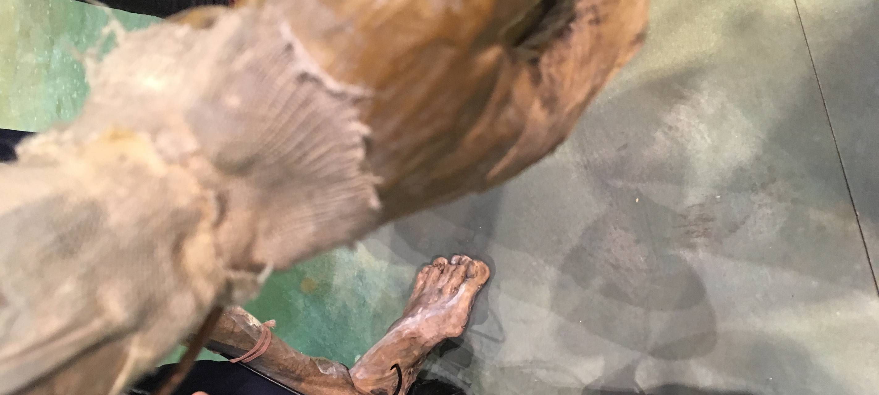 Besondere Premiere im Gelsenkirchener MiR