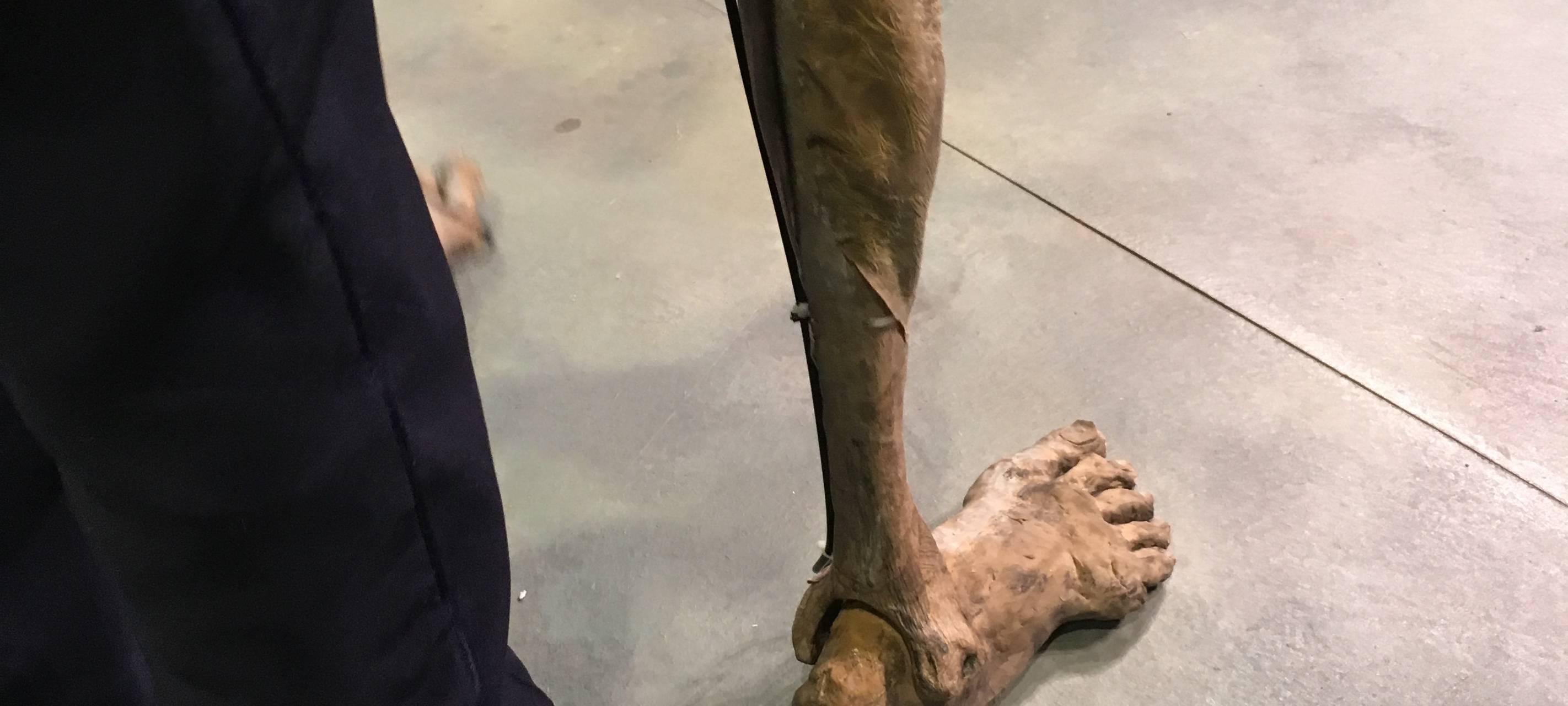 Besondere Premiere im Gelsenkirchener MiR