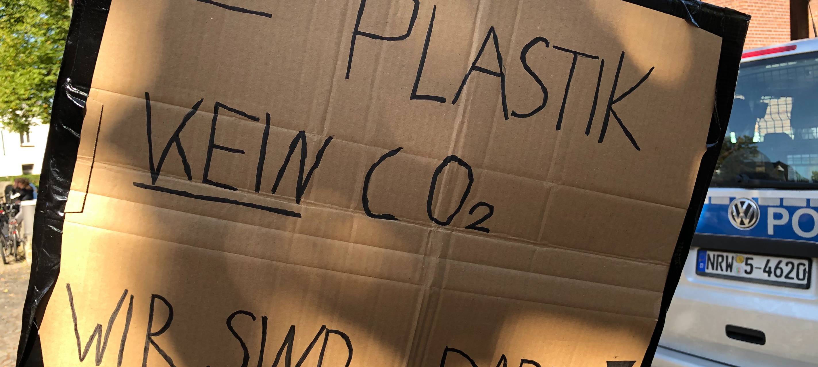 Viele Menschen bei den Fridays for Future-Demos dabei