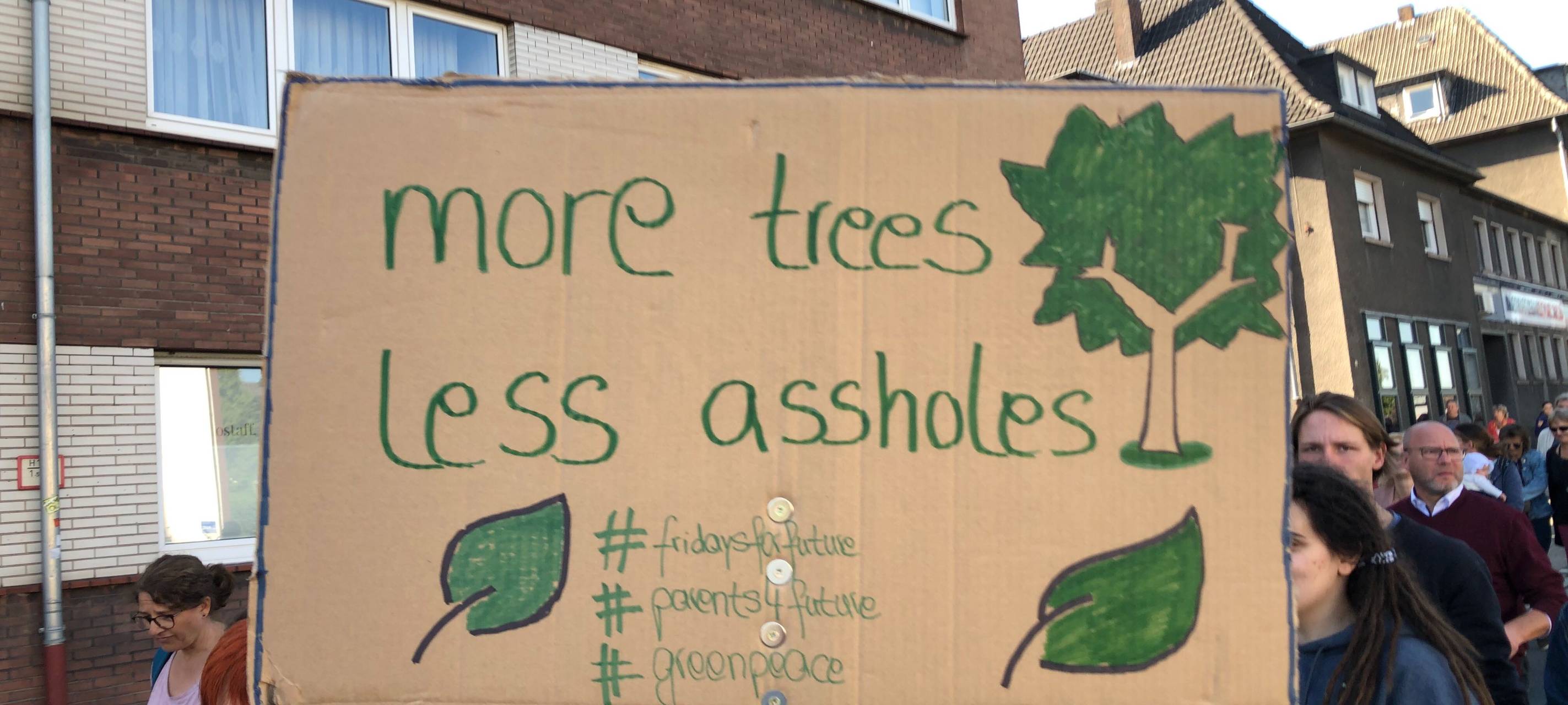 Viele Menschen bei den Fridays for Future-Demos dabei