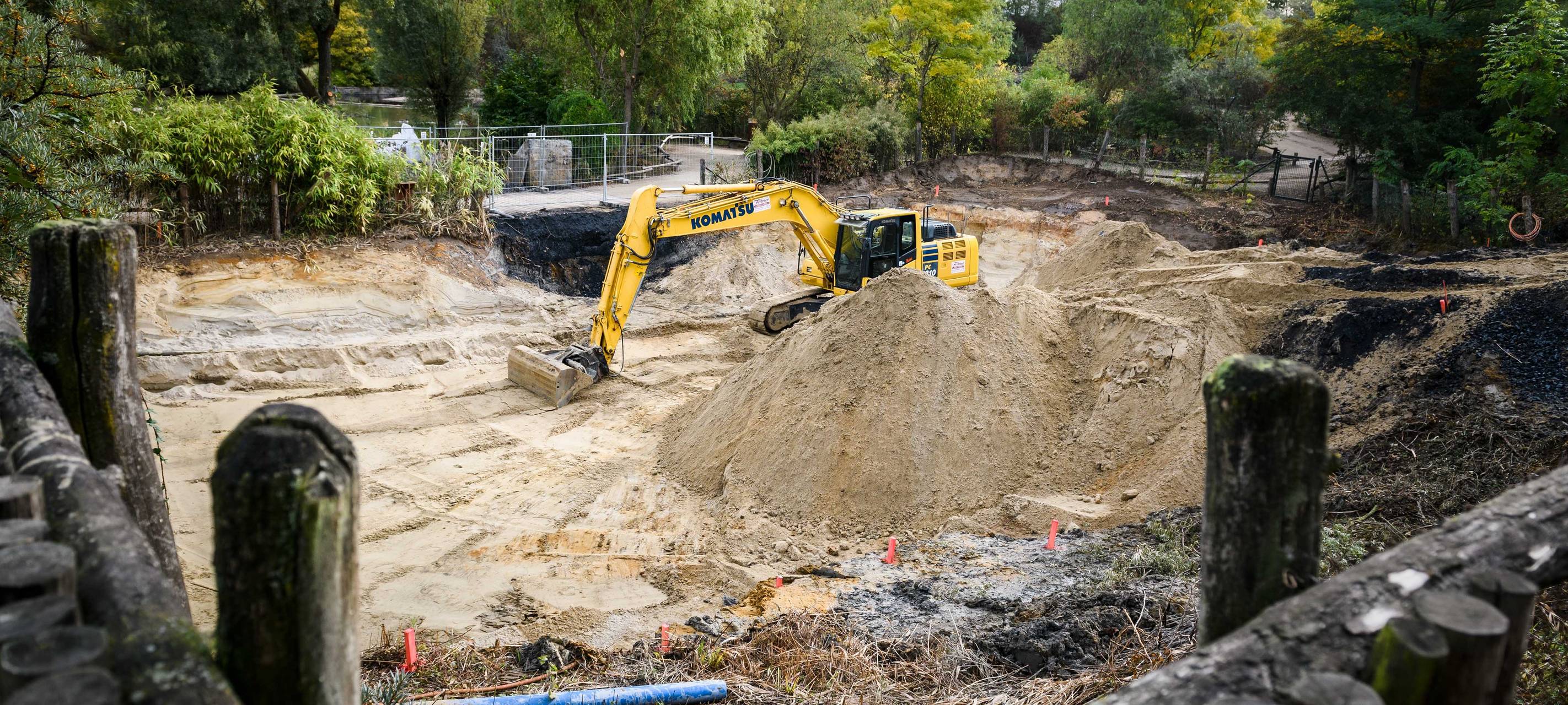 Baustart Pinguinanlage Zoom Erlebniswelt
