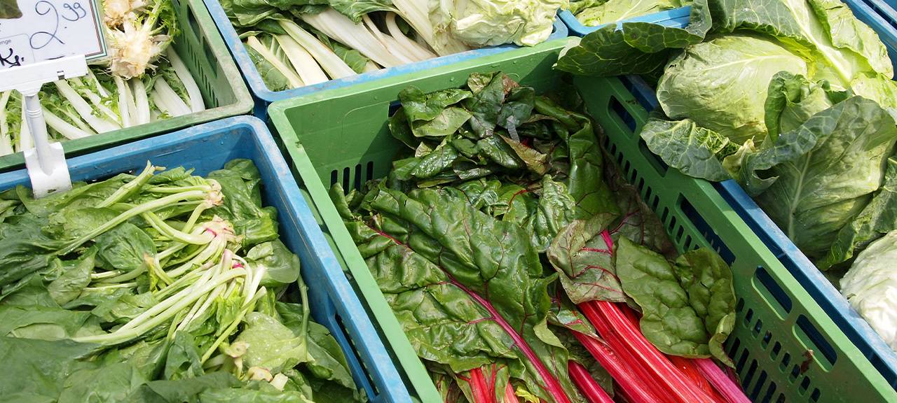 Vegetarisch ernähren: Eine Diätassistentin gibt Tipps