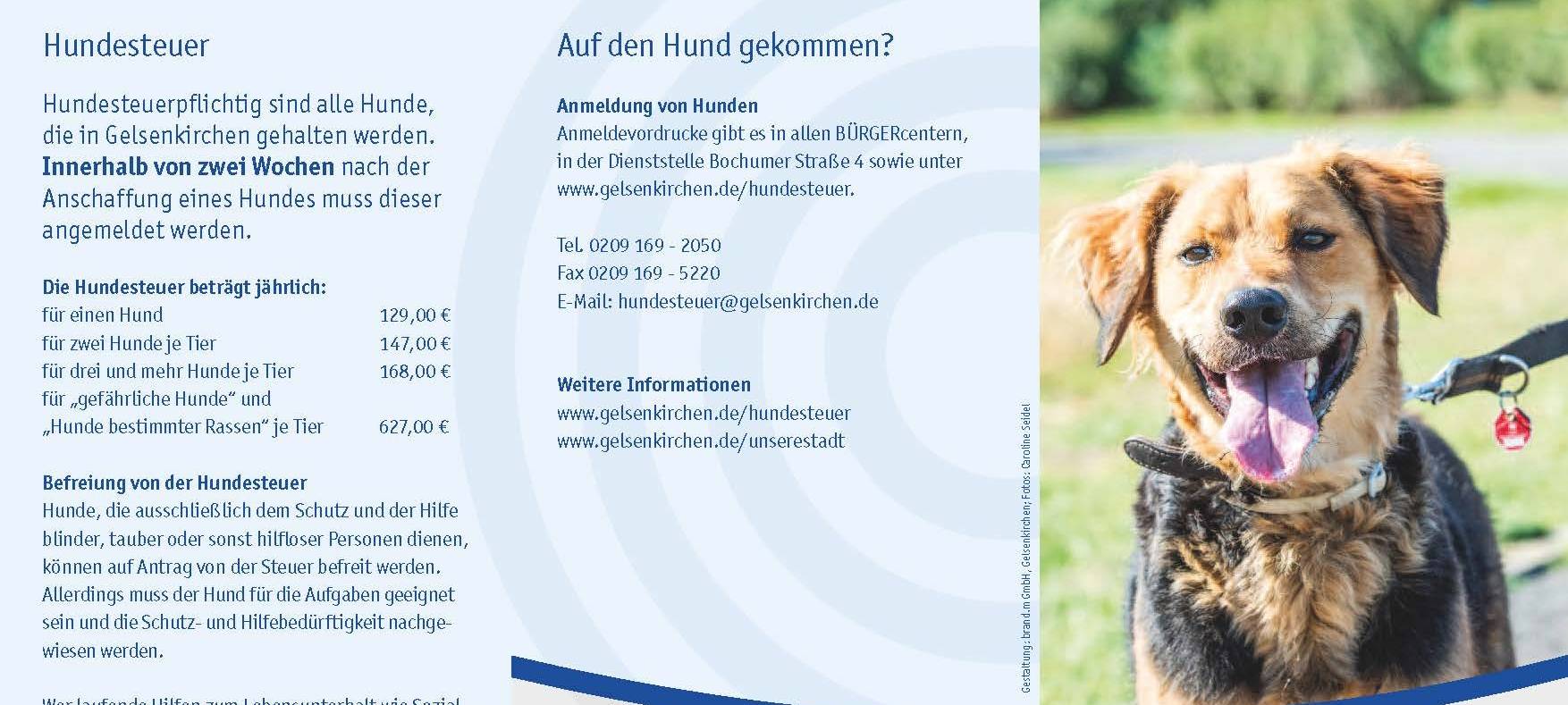 Ein Flyer Stadt Gelsenkirchen mit Infos für Hundehalter