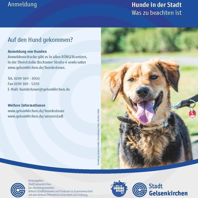Ein Flyer Stadt Gelsenkirchen mit Infos für Hundehalter