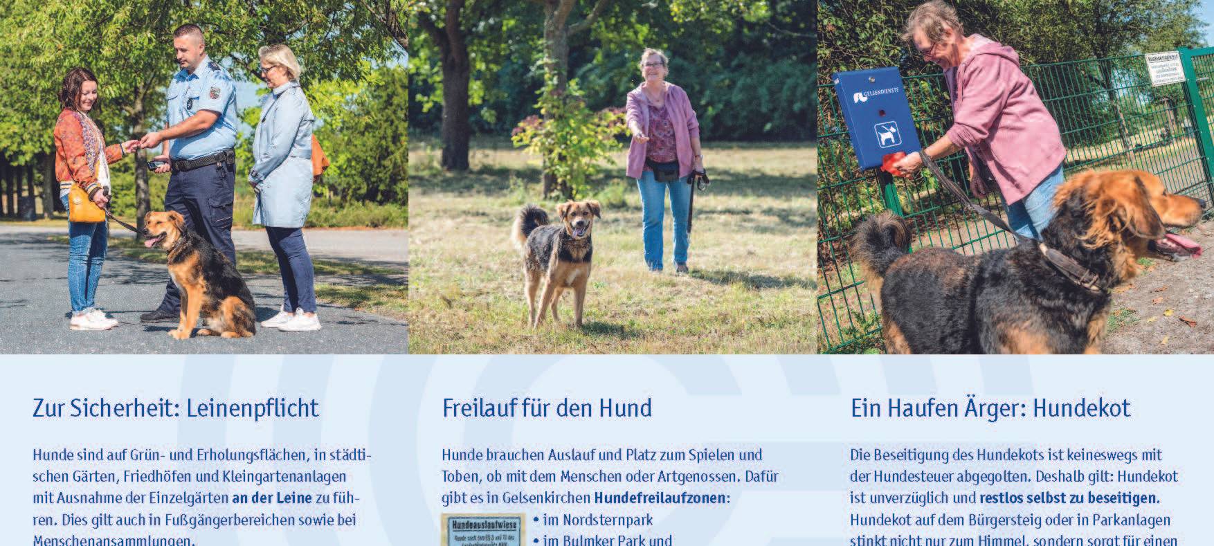 Die zweite Seite des Flyers der Stadt Gelsenkirchen mit Infos für Hundehalter