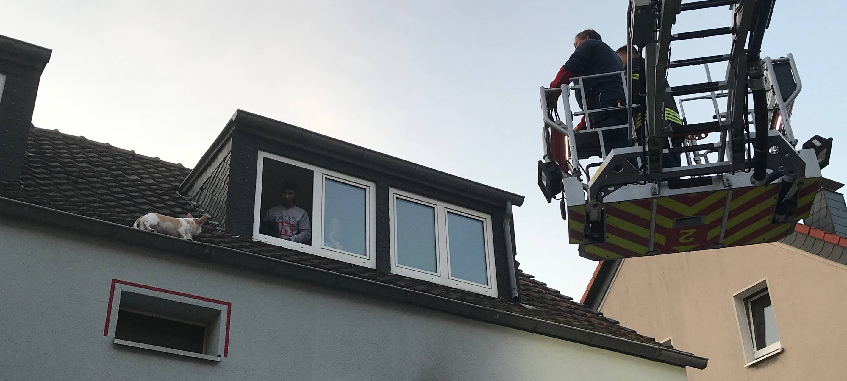 Feuerwehr Gelsenkirchen rettet Hund