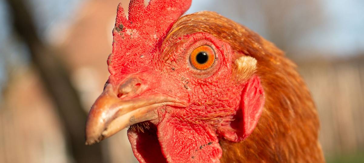 Diese krassen Schadenersatzforderungen gingen vor Gericht