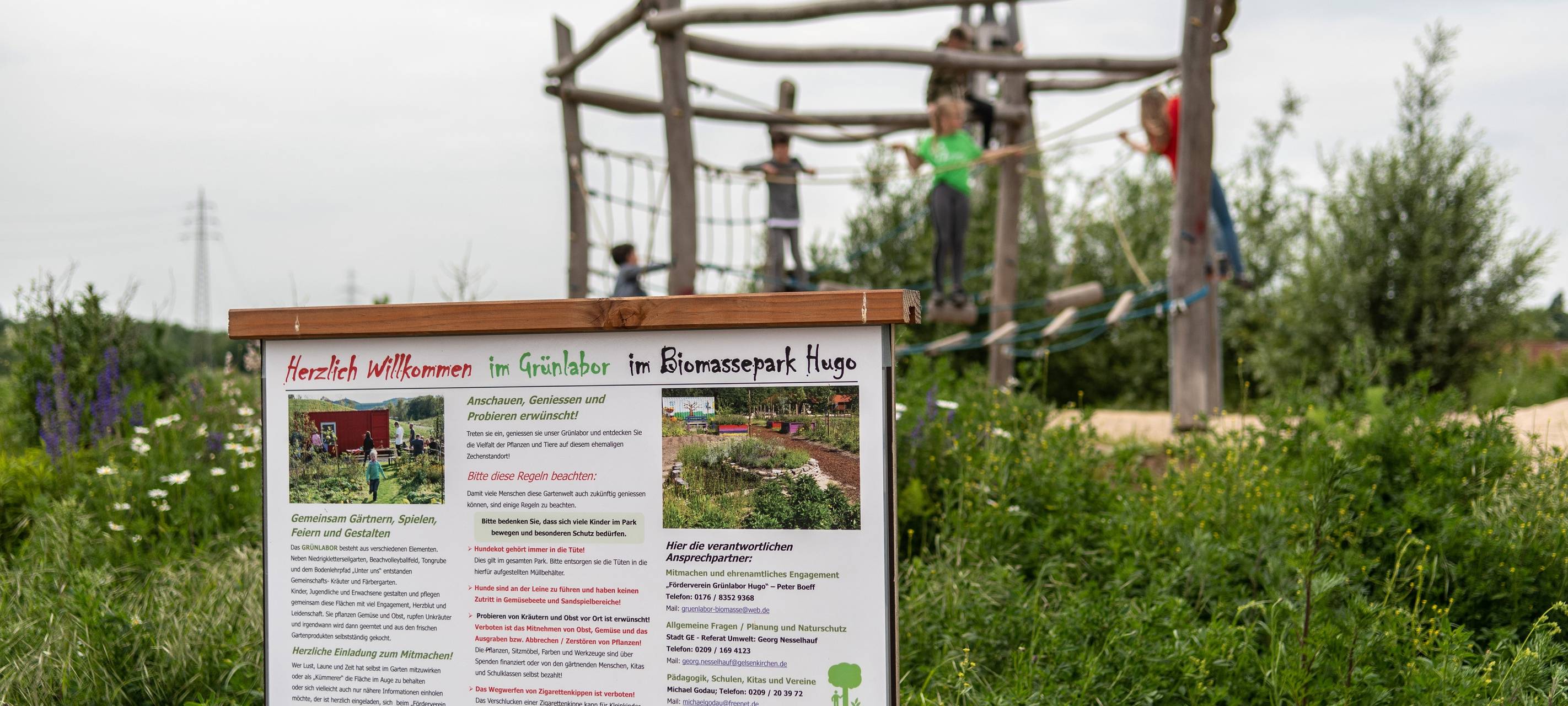Ein Schild erklärt den Biomassepark auf dem ehemaligen Zechengelände Hugo in Buer. Im Hintergrund ein Klettergerüst