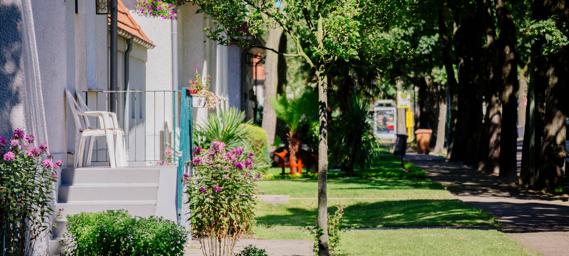 ZBG bittet die Gladbecker um Hilfe beim Gießen