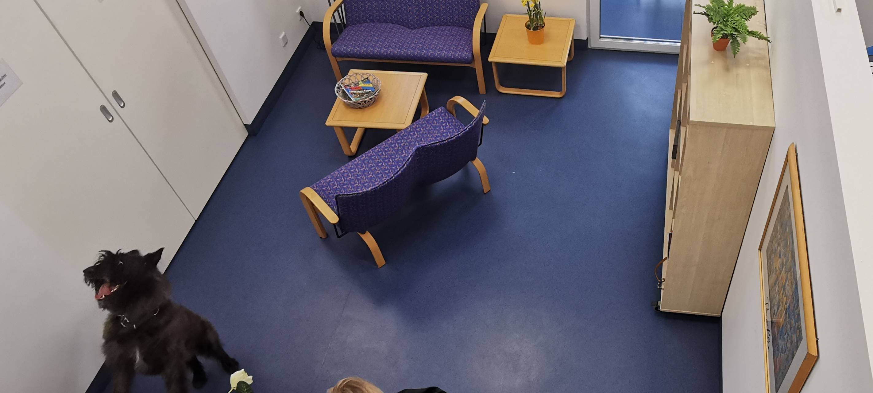 Datenspürhund der Polizei NRW in Aktion