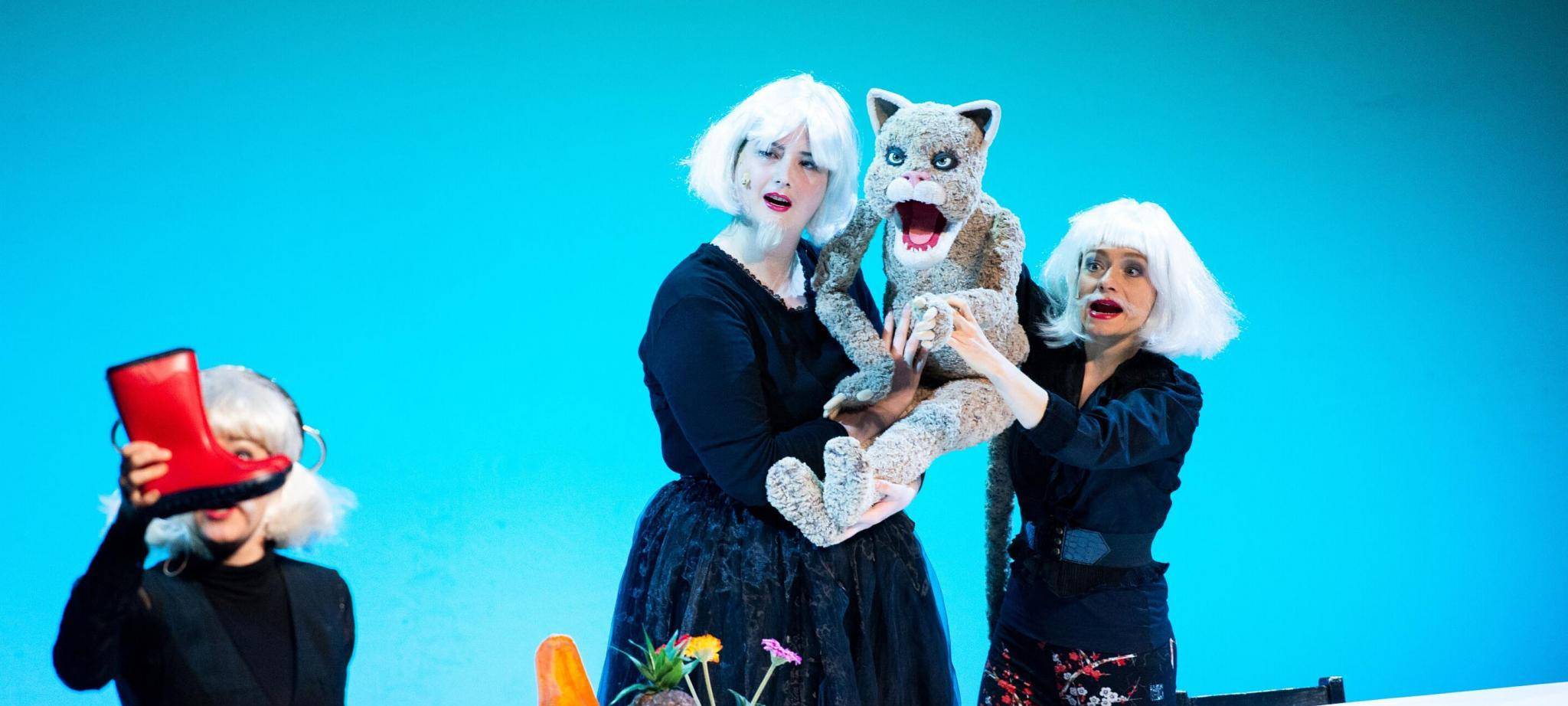 MiR zeigt "Der gestiefelte Kater"