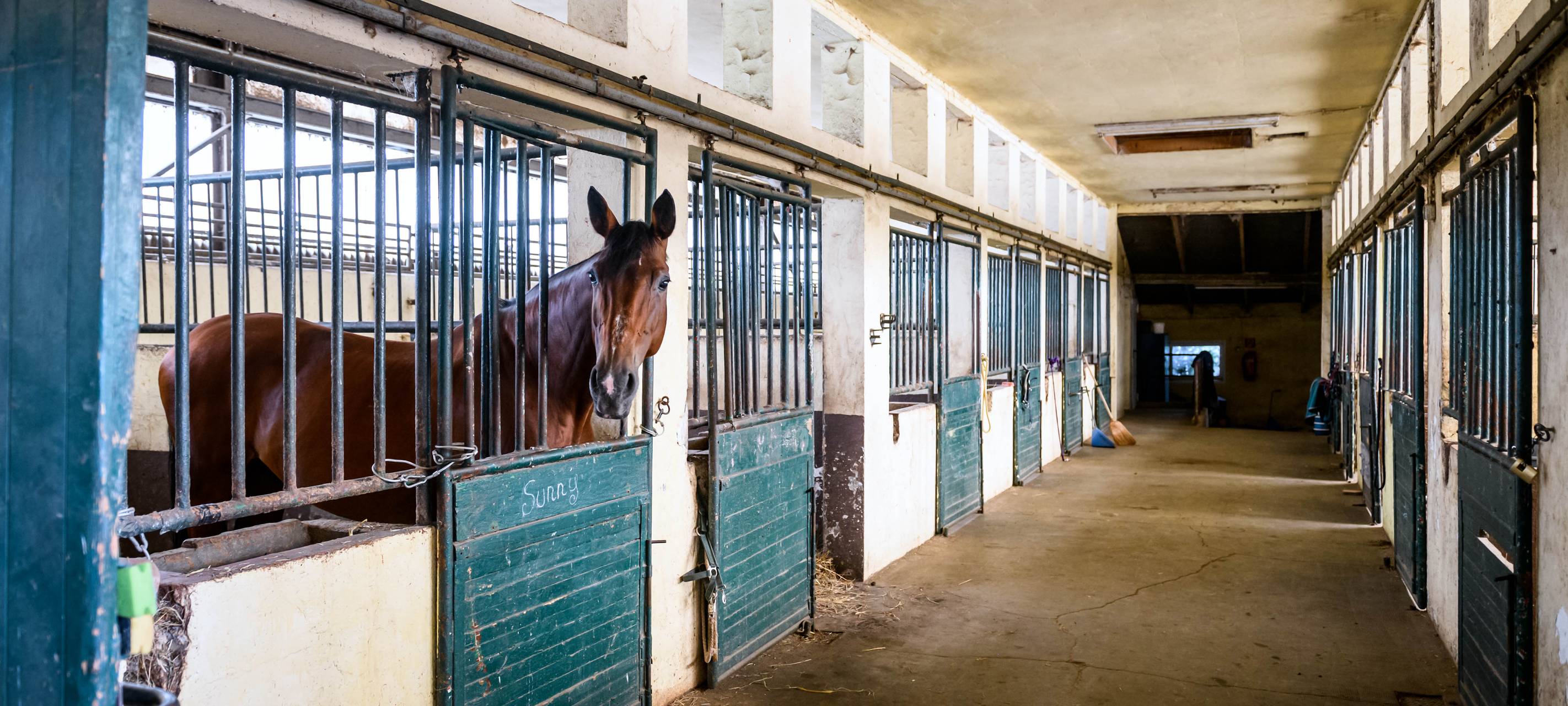 Die Pferdeboxen beim Reiterverein Gelsenkirchen