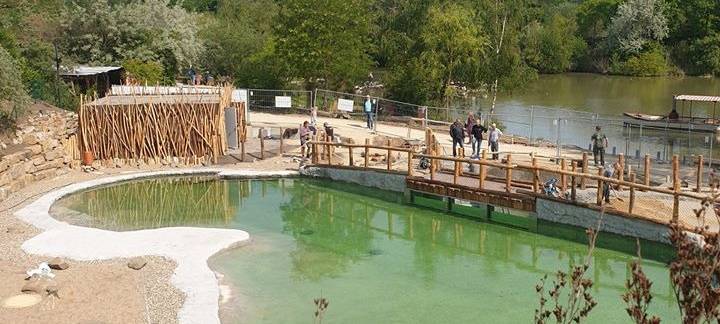 Die Baustelle der Pinguinanlage in der Zoom Erlebniswelt