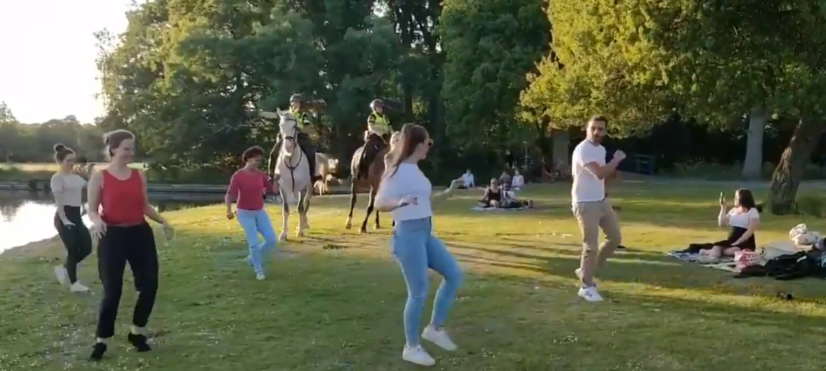 Eigentlich auf Corona-Streife: Polizeipferde tanzen Salsa in Den Haag