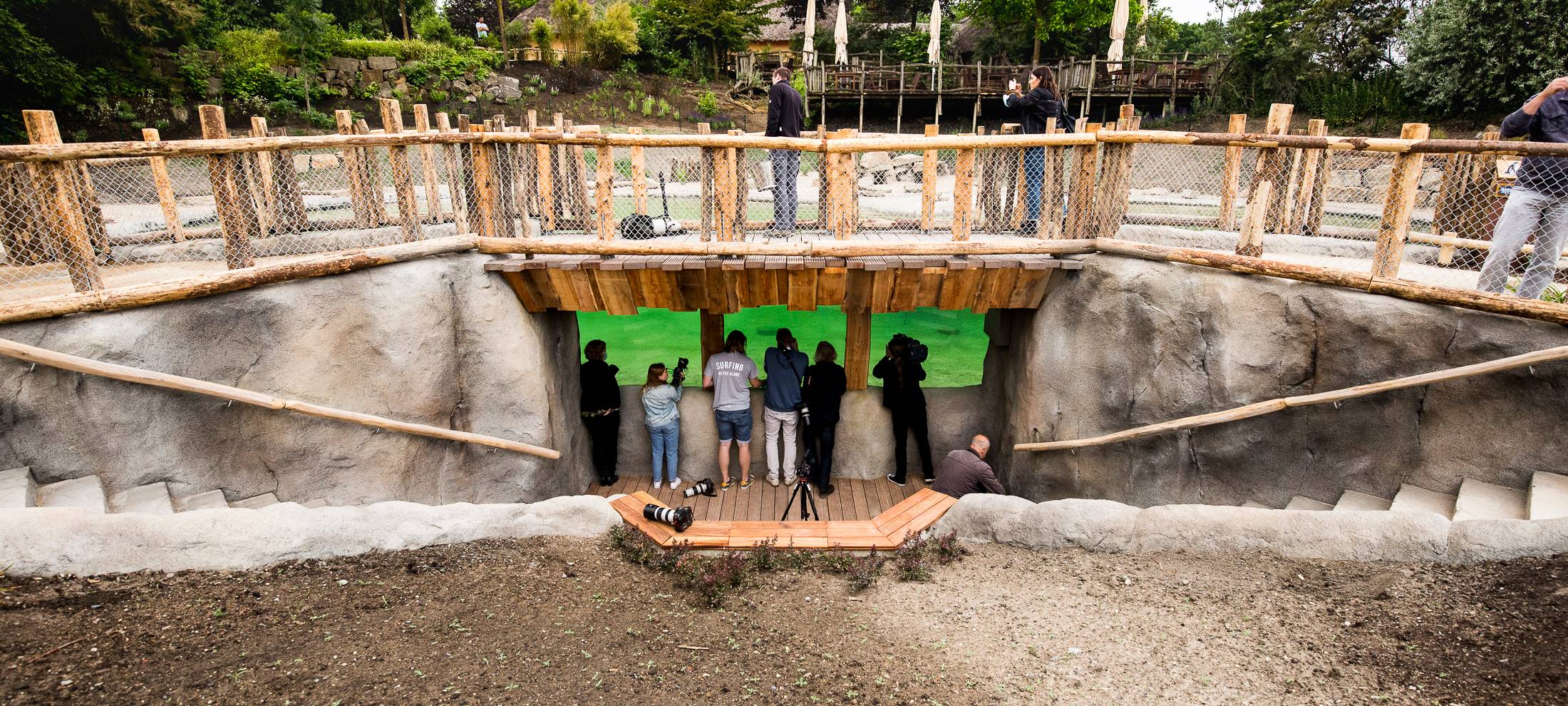 So niedlich sind die zwölf Brillenpinguine in der Zoom Erlebniswelt