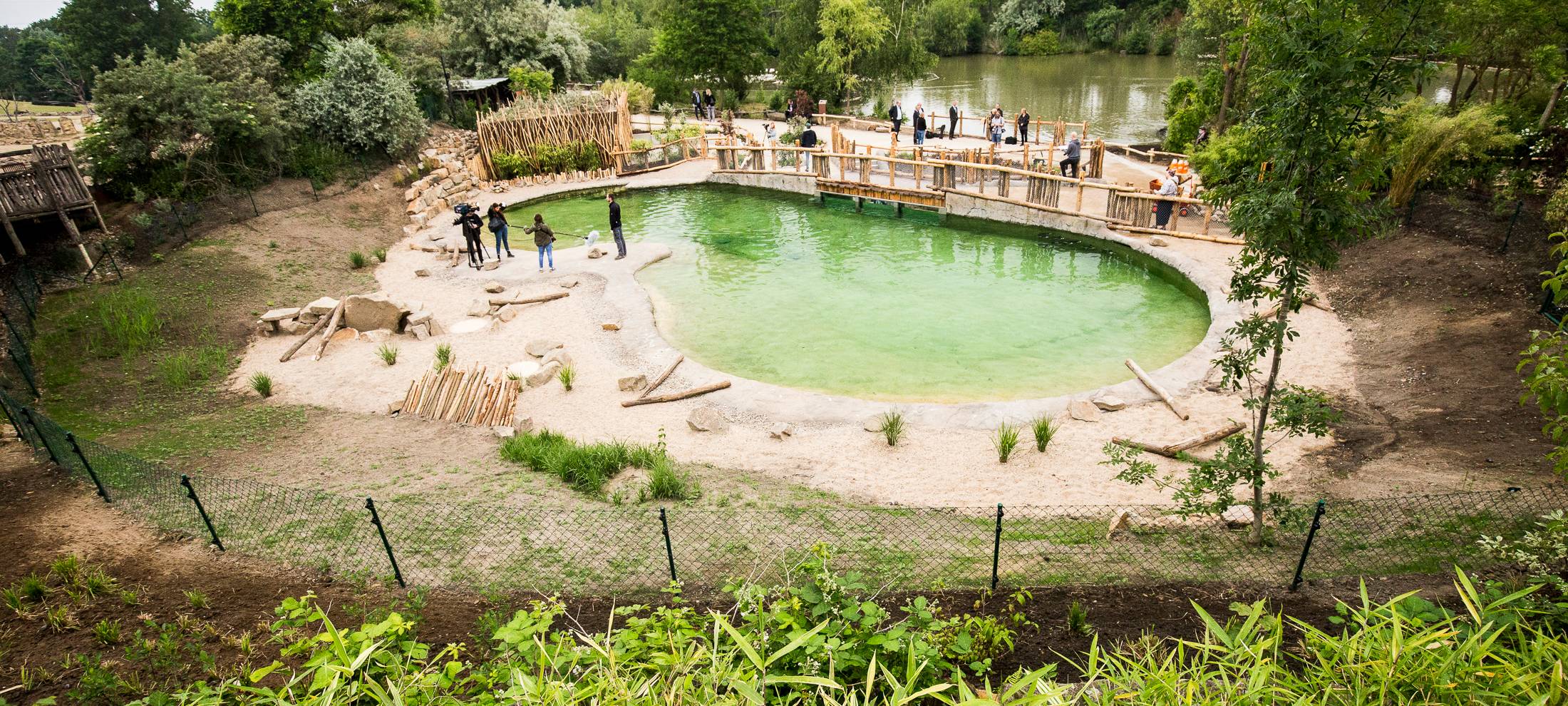 So niedlich sind die zwölf Brillenpinguine in der Zoom Erlebniswelt