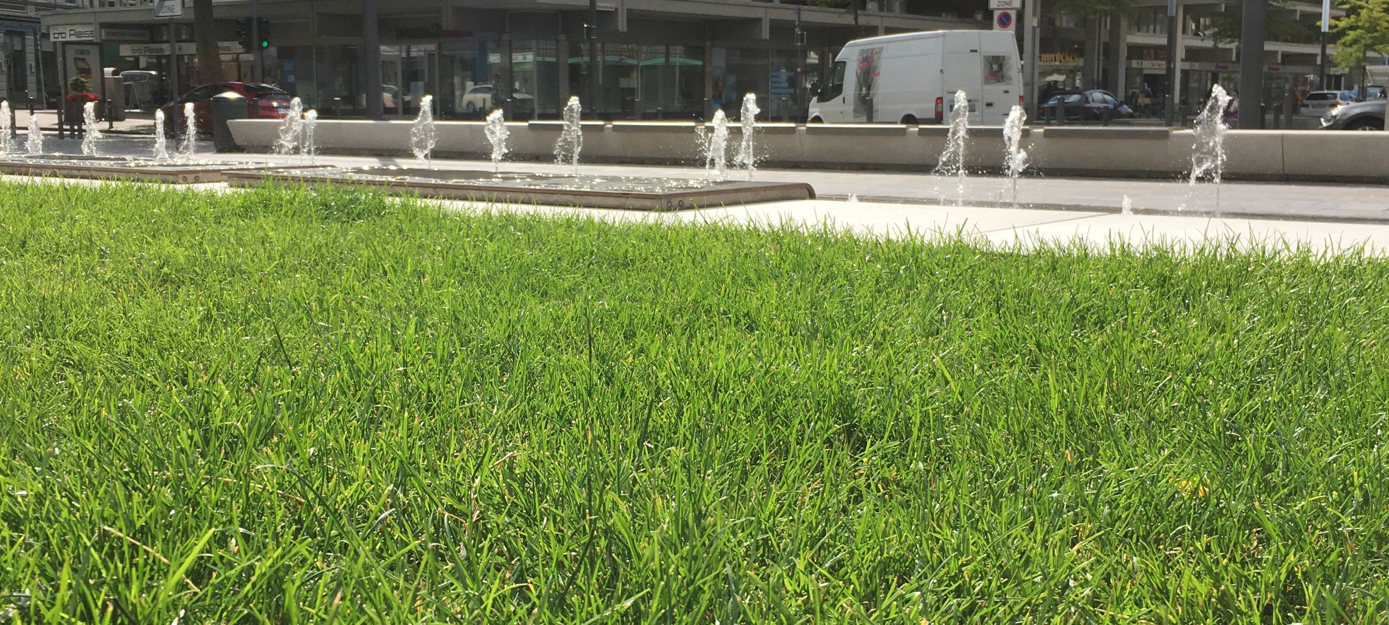 Umbau Ebertstraße Gelsenkirchen abgeschlossen