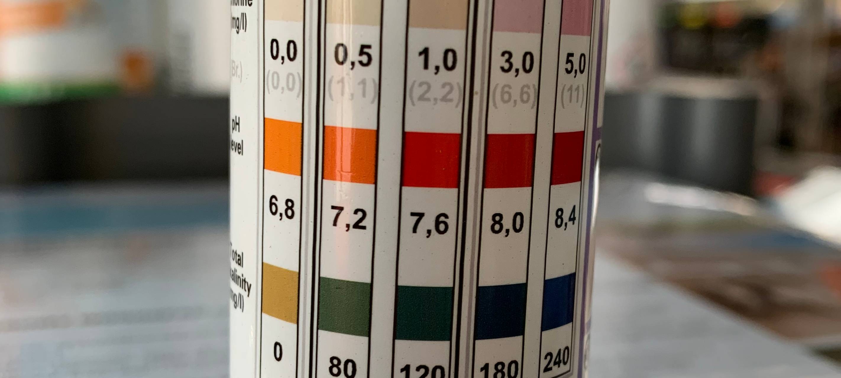 Freizeit-Reportage Pools - Expertenwissen und Basics