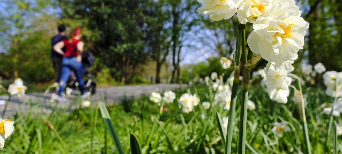 Zwei Pocket Parks für Gelsenkirchen