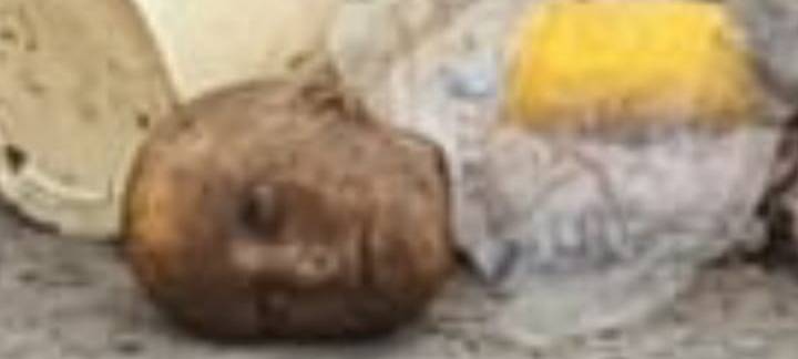 Gelsenkirchen: Kopf im Hausmüll gefunden