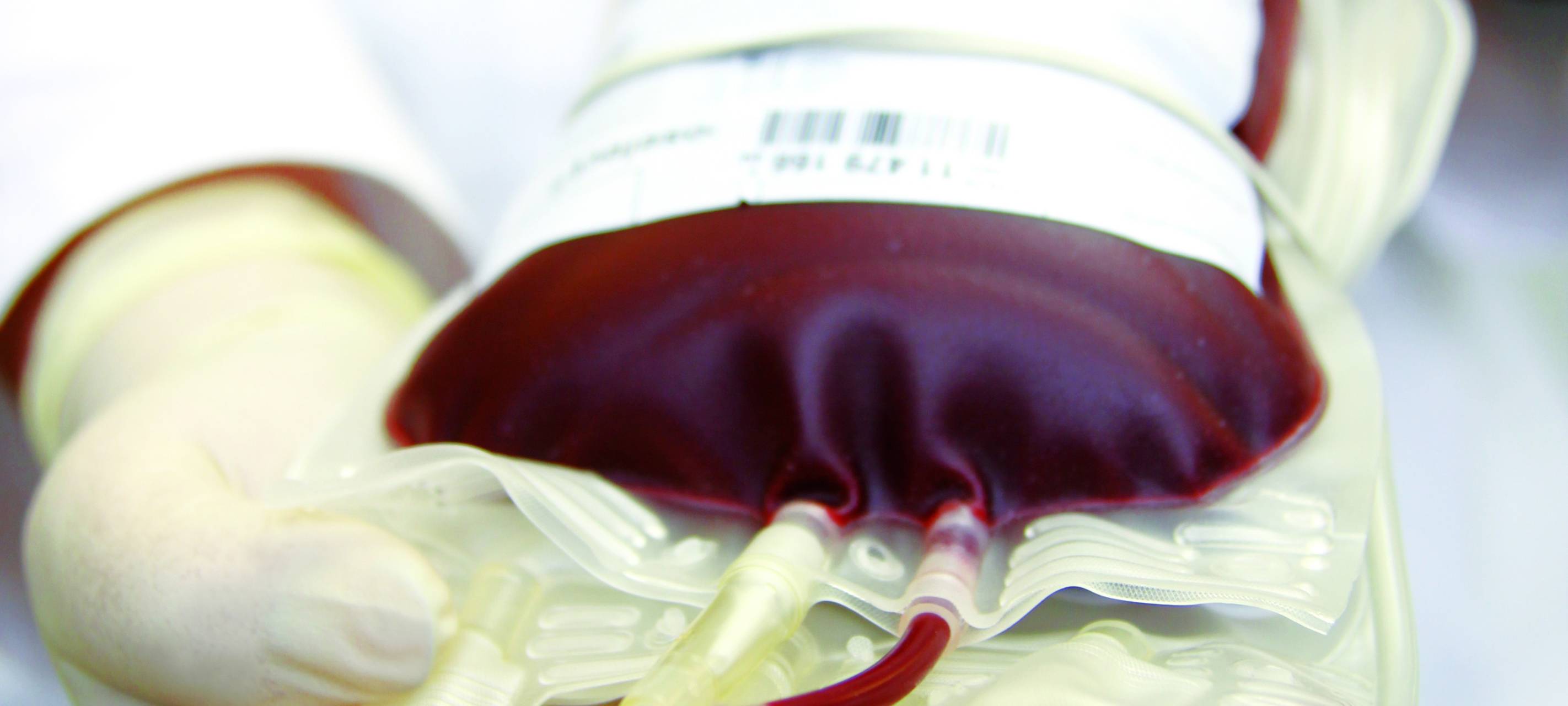 DRK ruft in Gelsenkirchen zur Blutspende auf