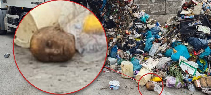 Gelsenkirchen: Kopf im Hausmüll gefunden