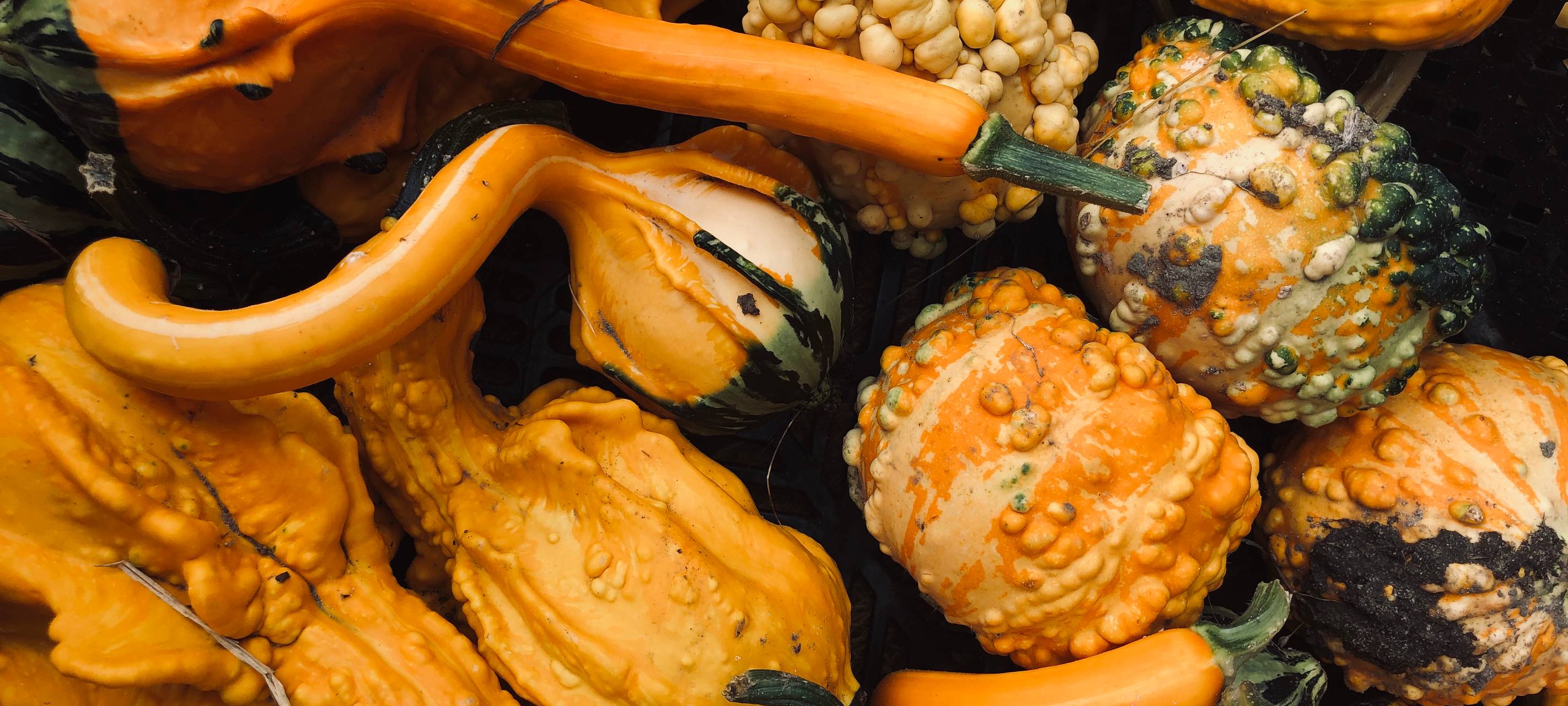 Unsere Tipps gegen den Herbst-Blues