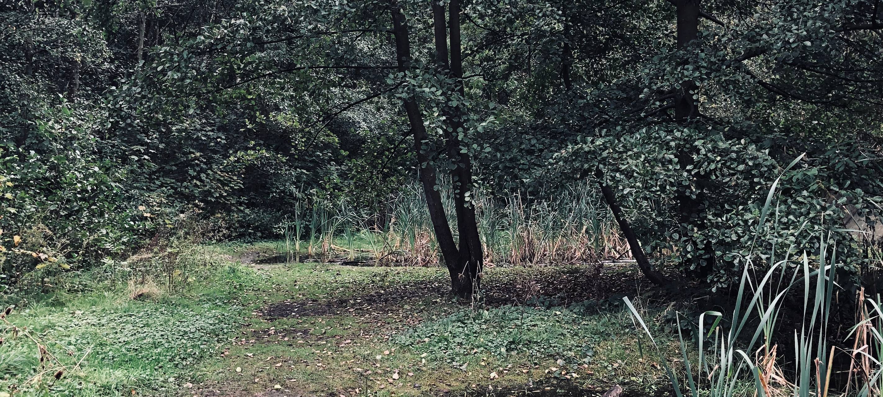 Unsere Tipps gegen den Herbst-Blues