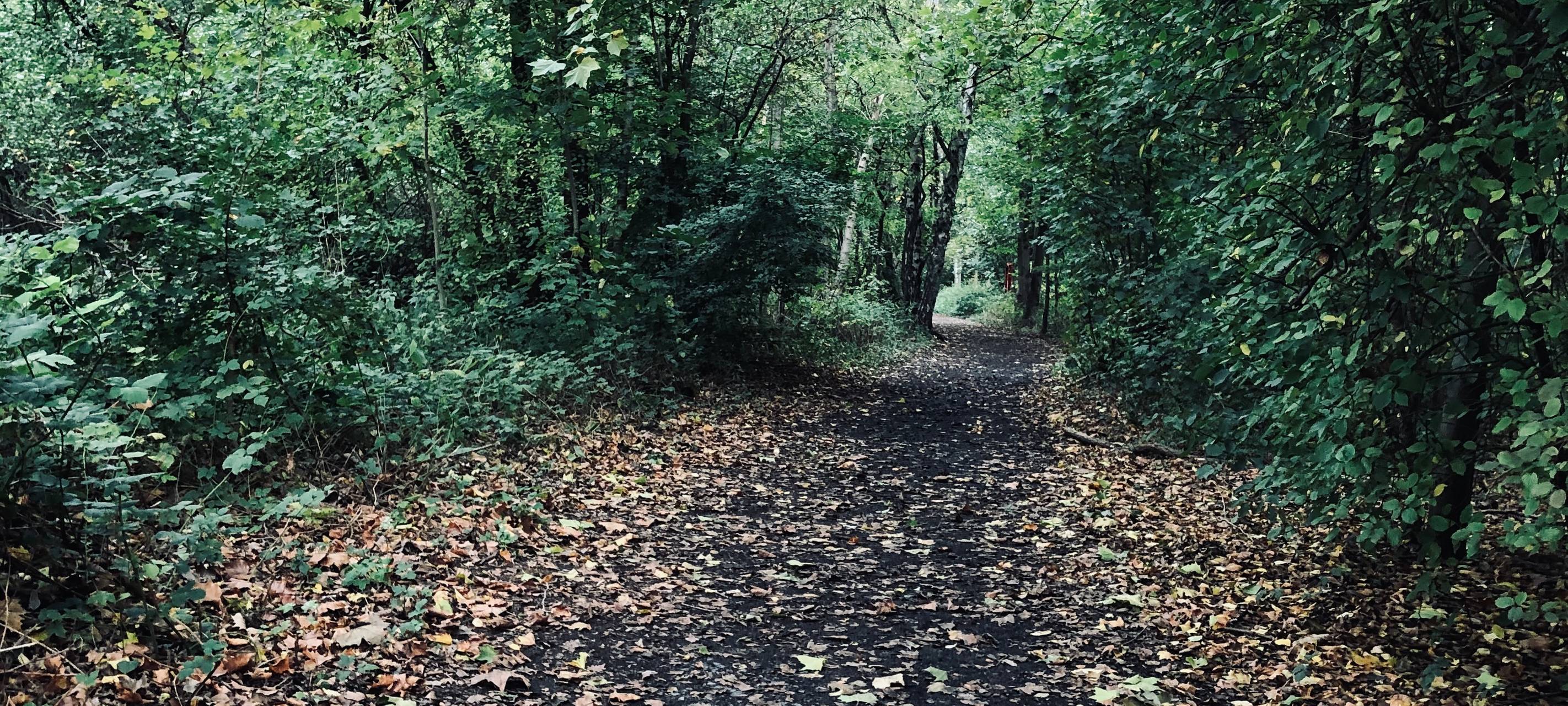 Unsere Tipps gegen den Herbst-Blues