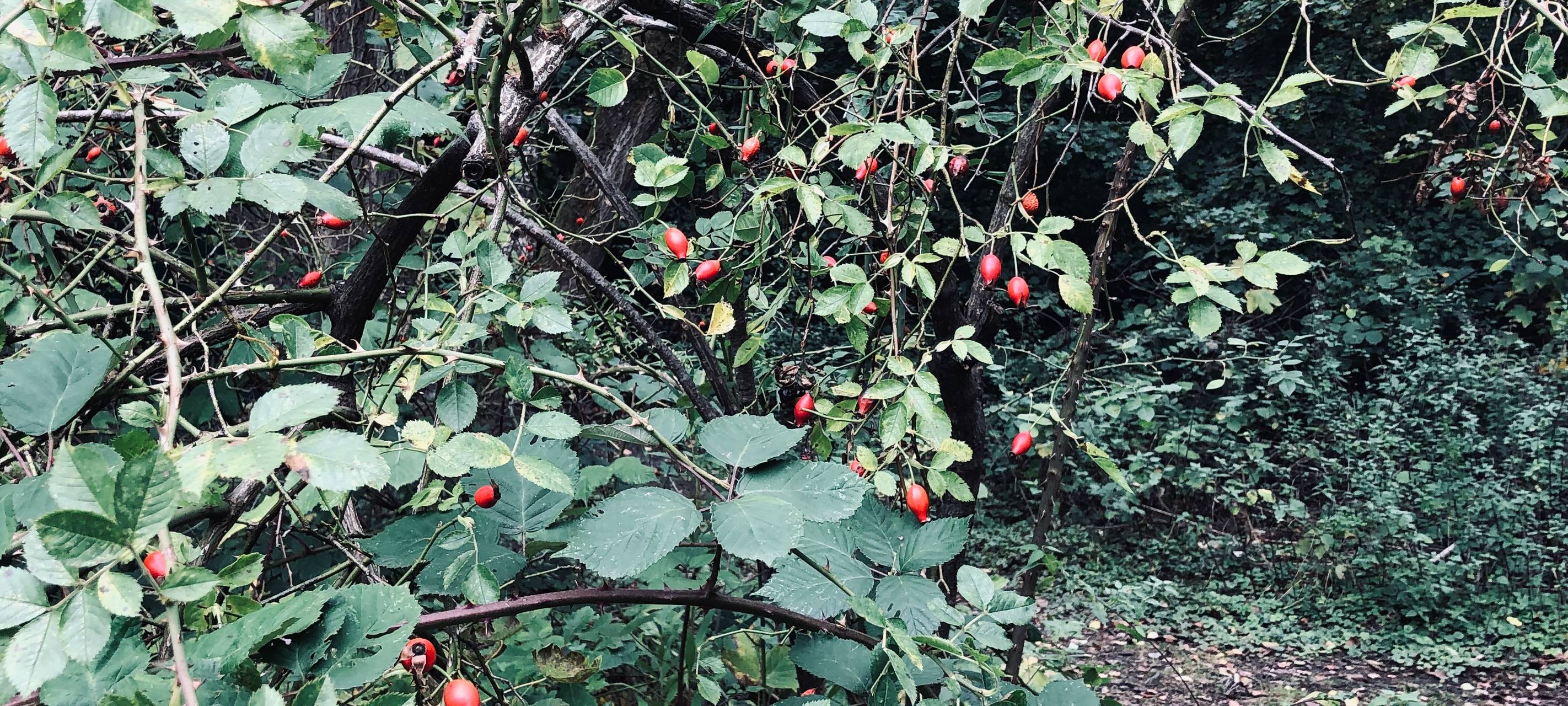 Unsere Tipps gegen den Herbst-Blues