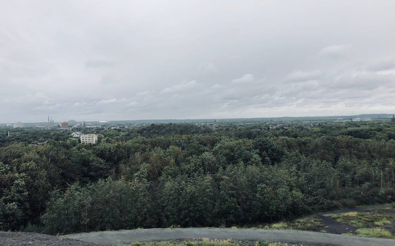 Ein Foto von der Aussicht oben von der Halde Rheinelbe