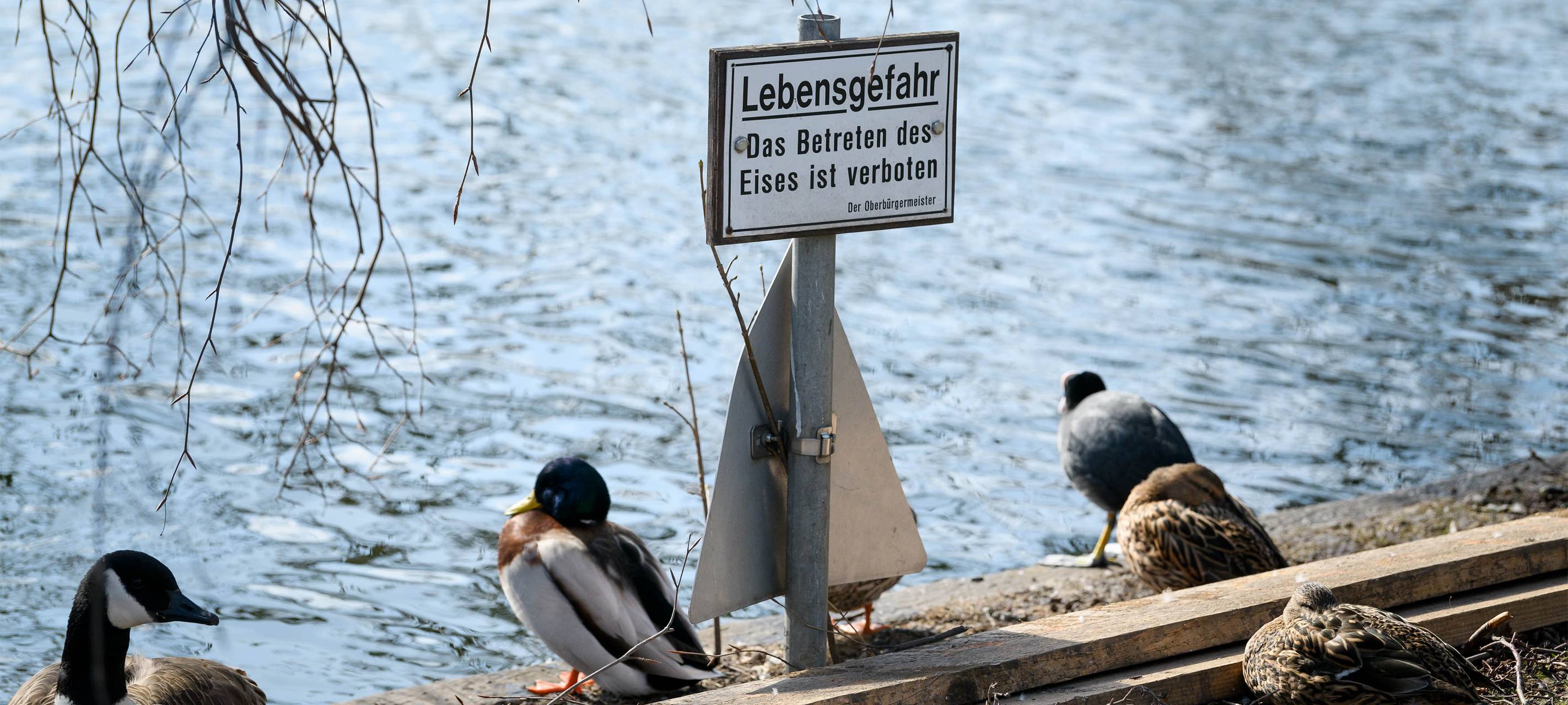 Ein Bild von einem Verbotsschild.