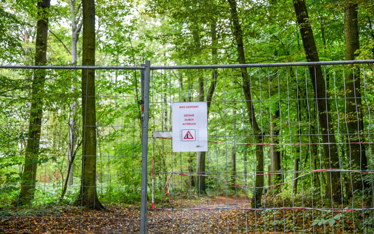 Abgesperrter Weg im Wittringer Wald