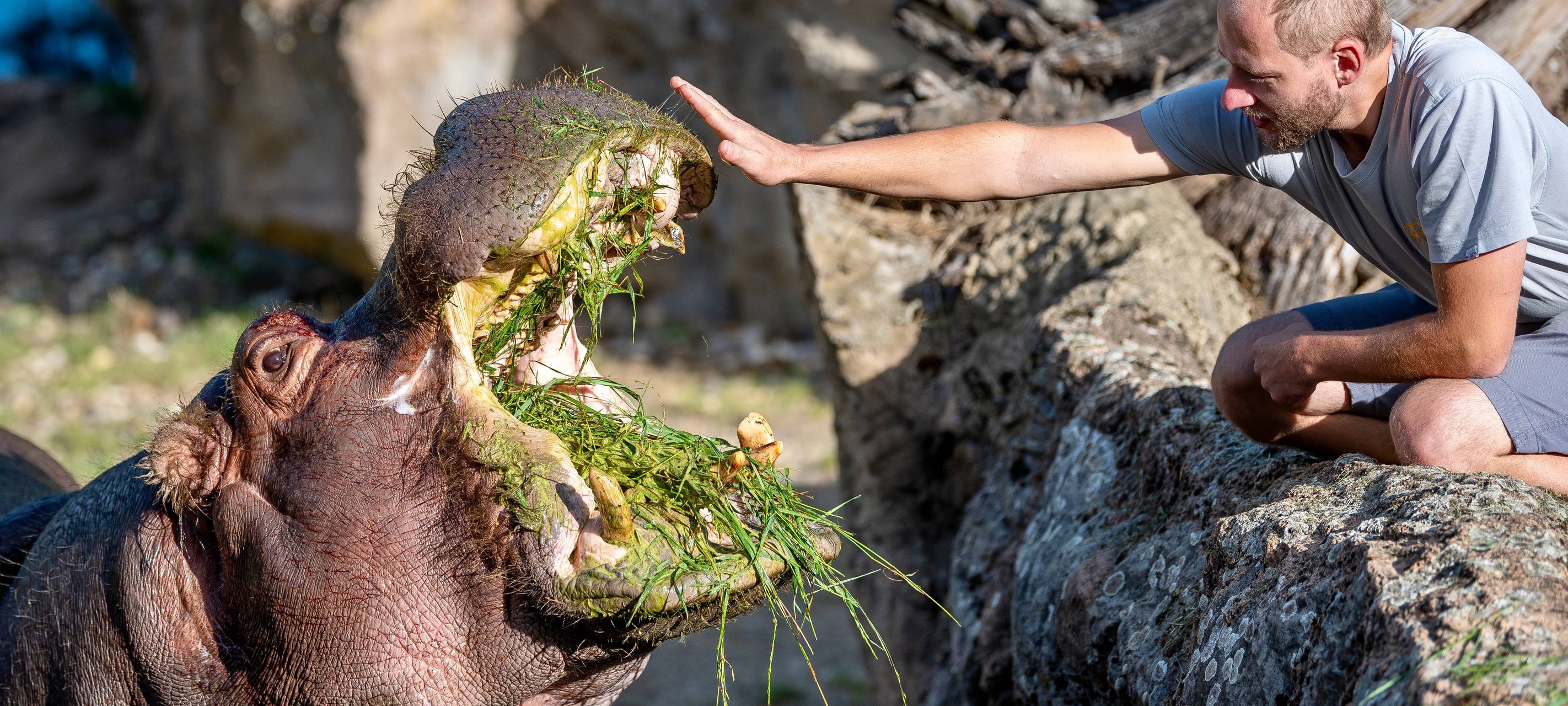 Zoom-Erlebniswelt will kommende Woche wieder öffnen