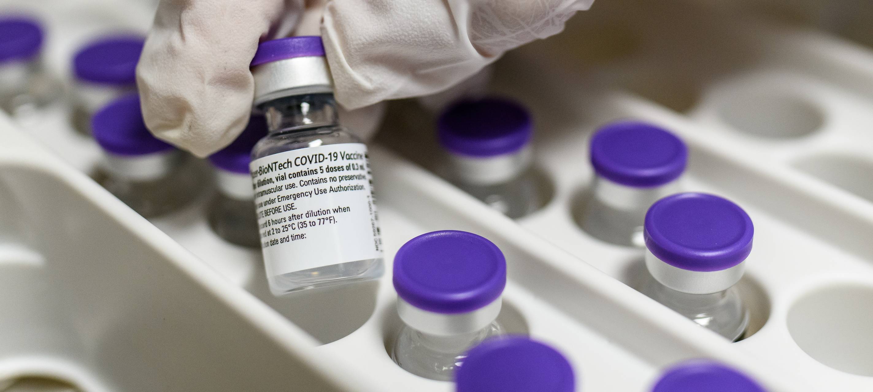 Ampullen mit Corona-Impfstoff