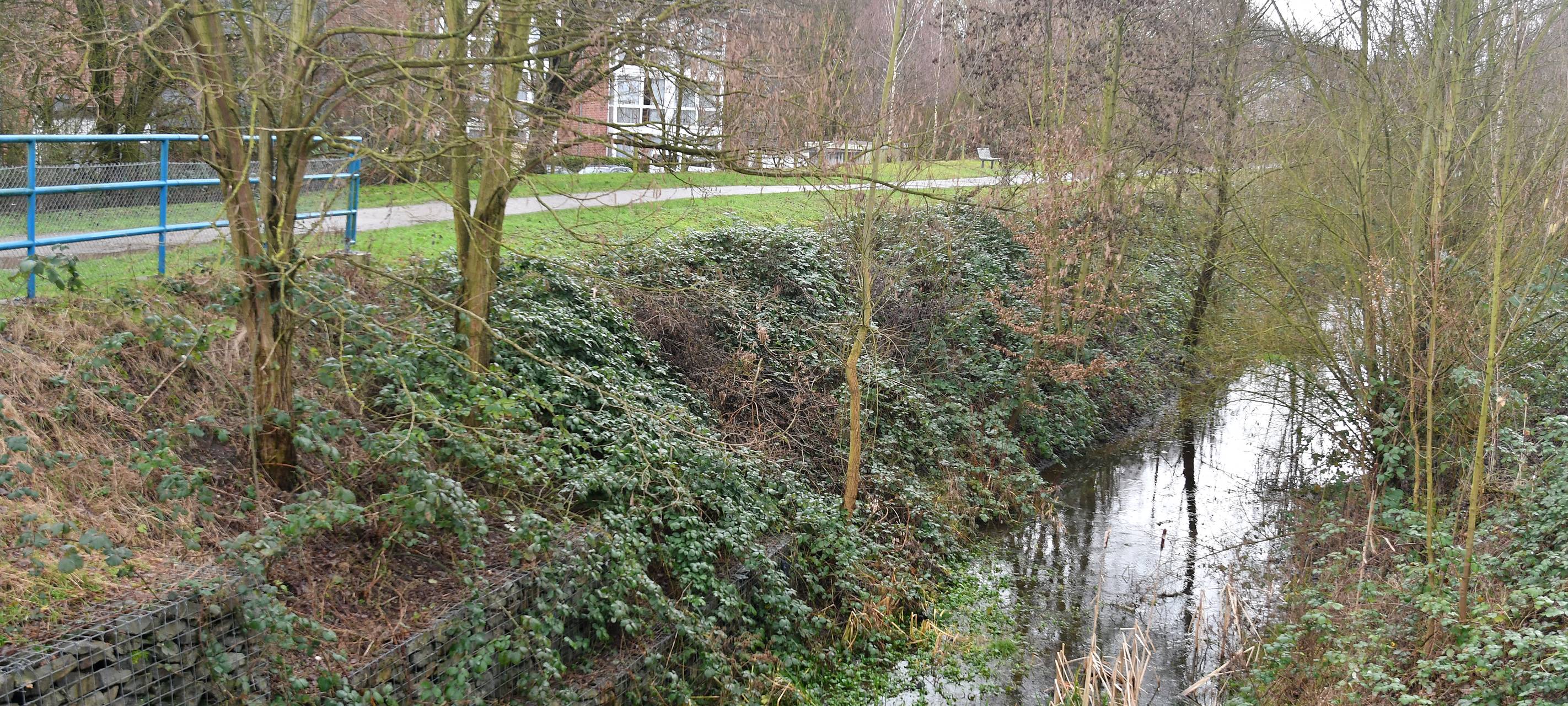Der Uferweg am Kirchschemmsbach in Bottrop-Eigen