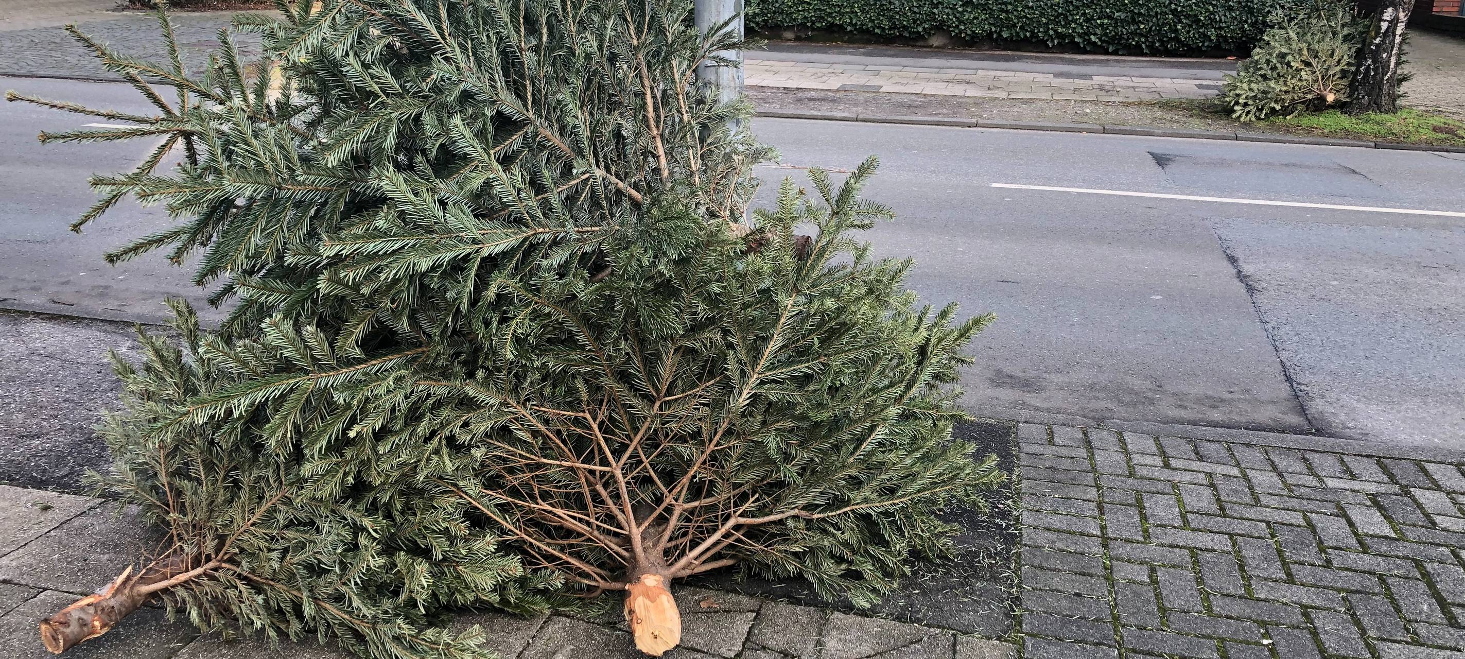 Abgeschmückter Weihnachtsbaum liegt an der Straße