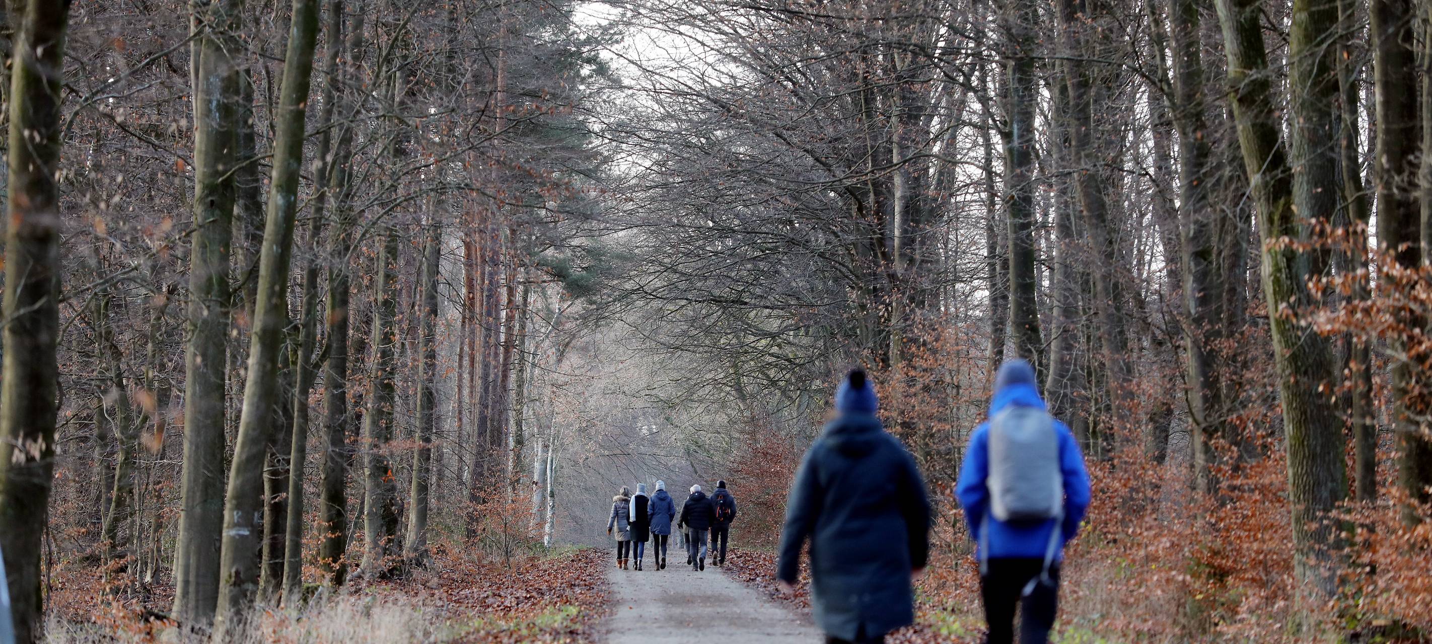 Spaziergänger im Wald