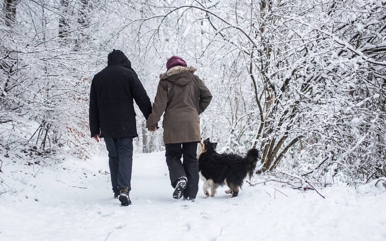 Zwei Menschen und ein Hund auf einem verschneiten Waldweg 