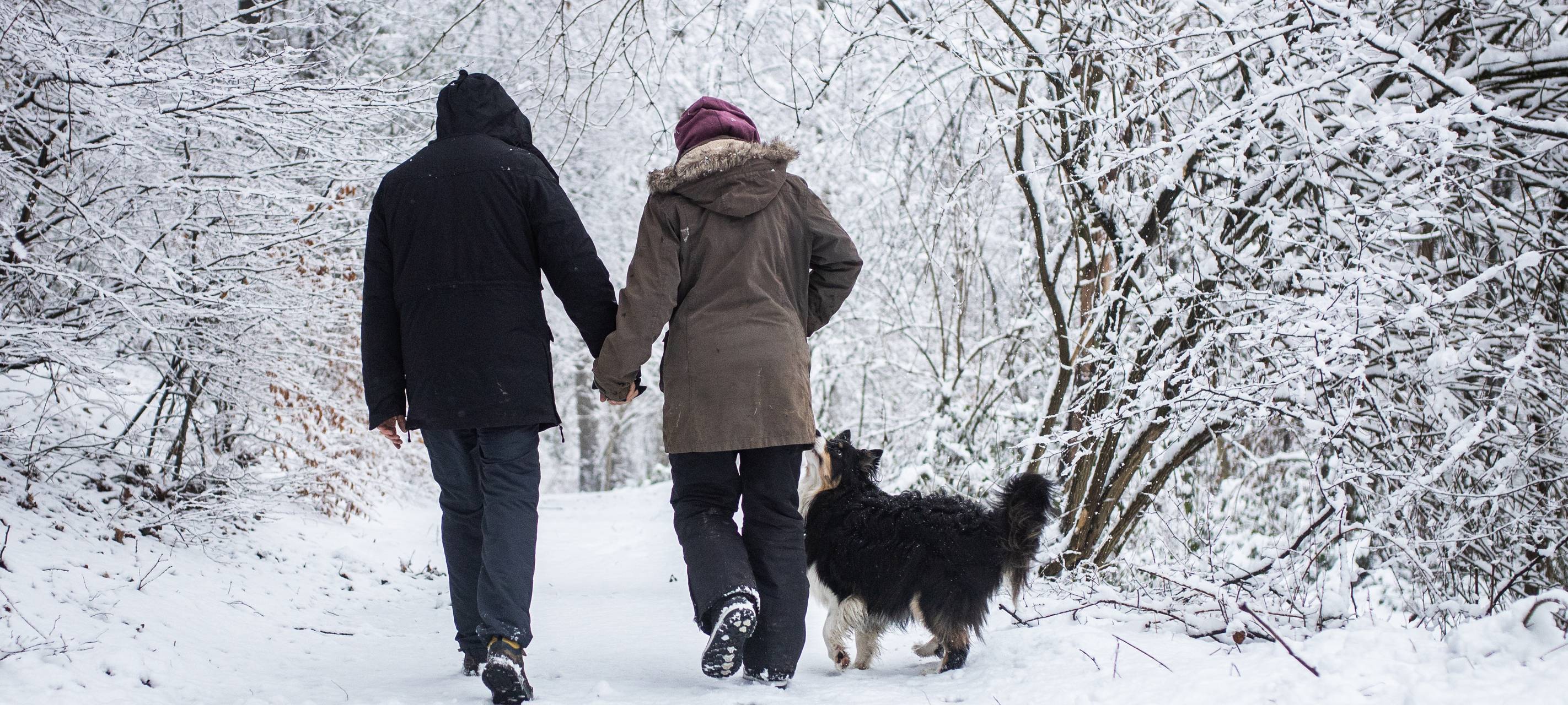 Zwei Menschen und ein Hund auf einem verschneiten Waldweg
