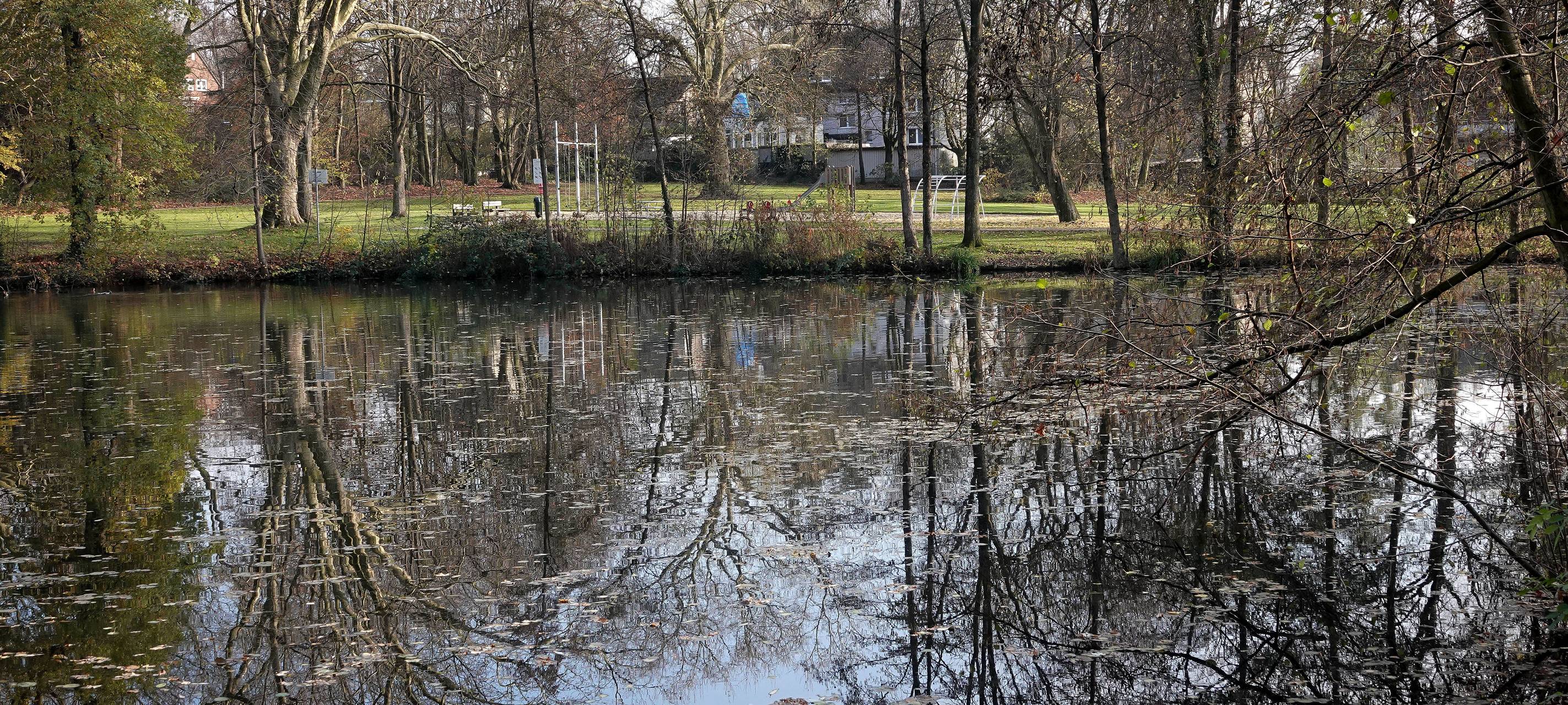 60 Sekunden Heimat: Stensteich Gladbeck