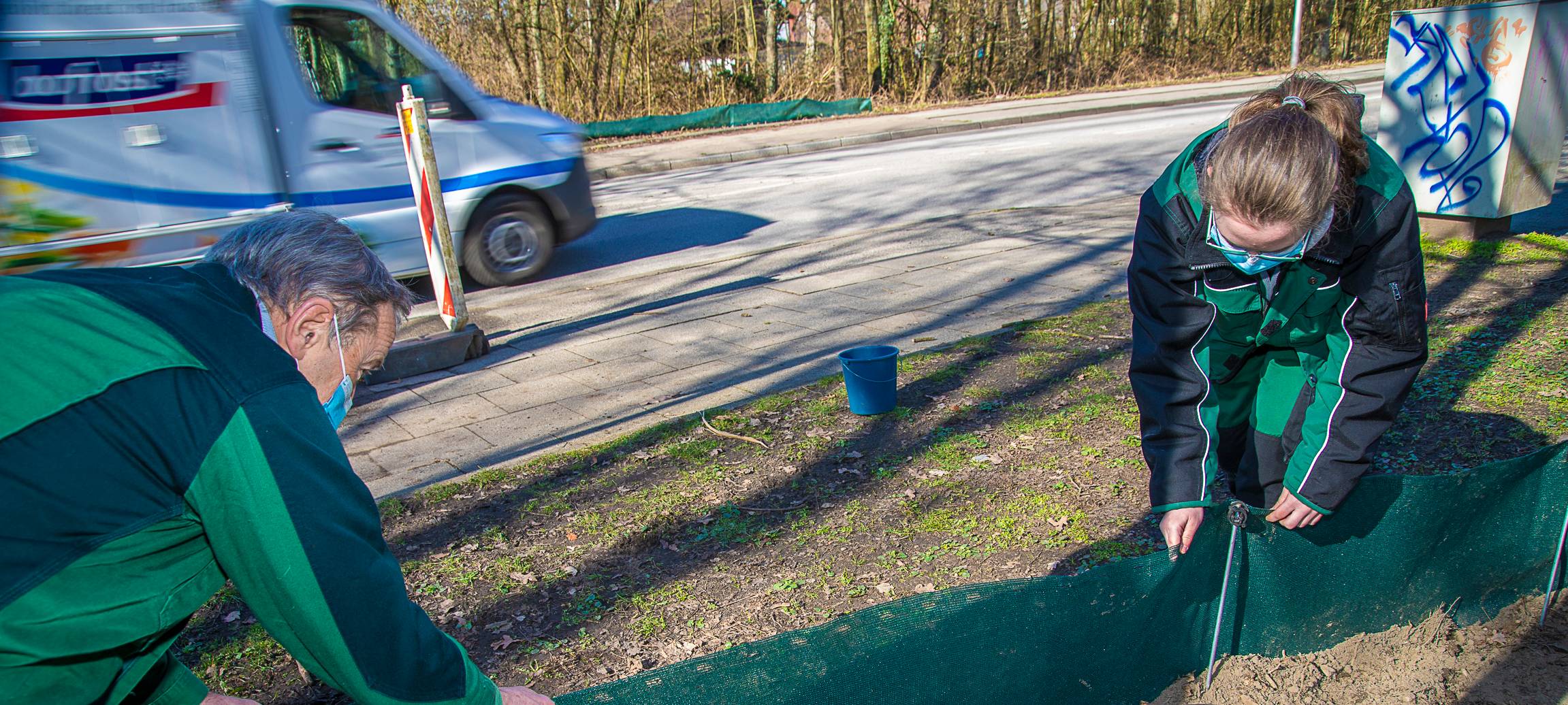 Krötenwanderung in Gladbeck
