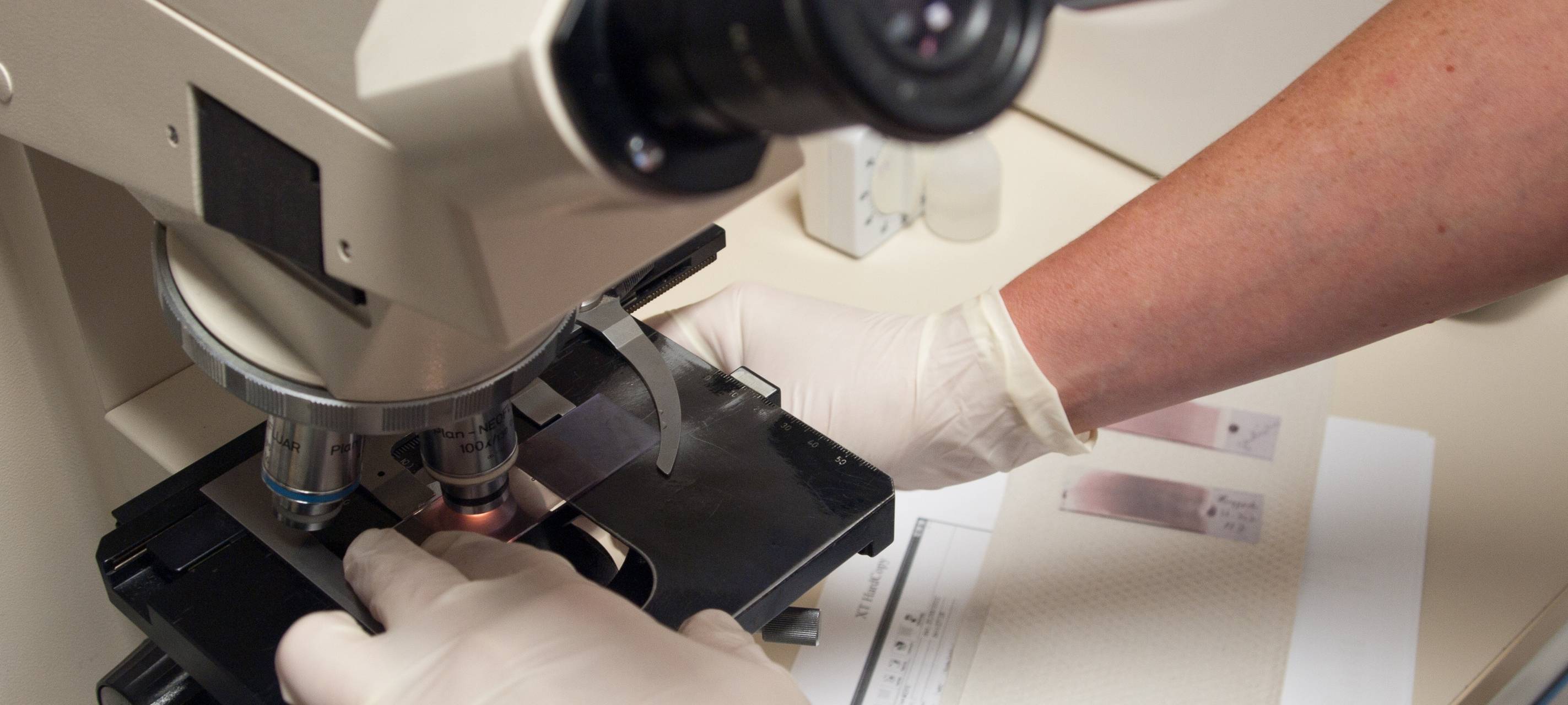 Harmloses Vollwissen - Die letzten Rätsel der Menschheit: Stellt uns eure Frage