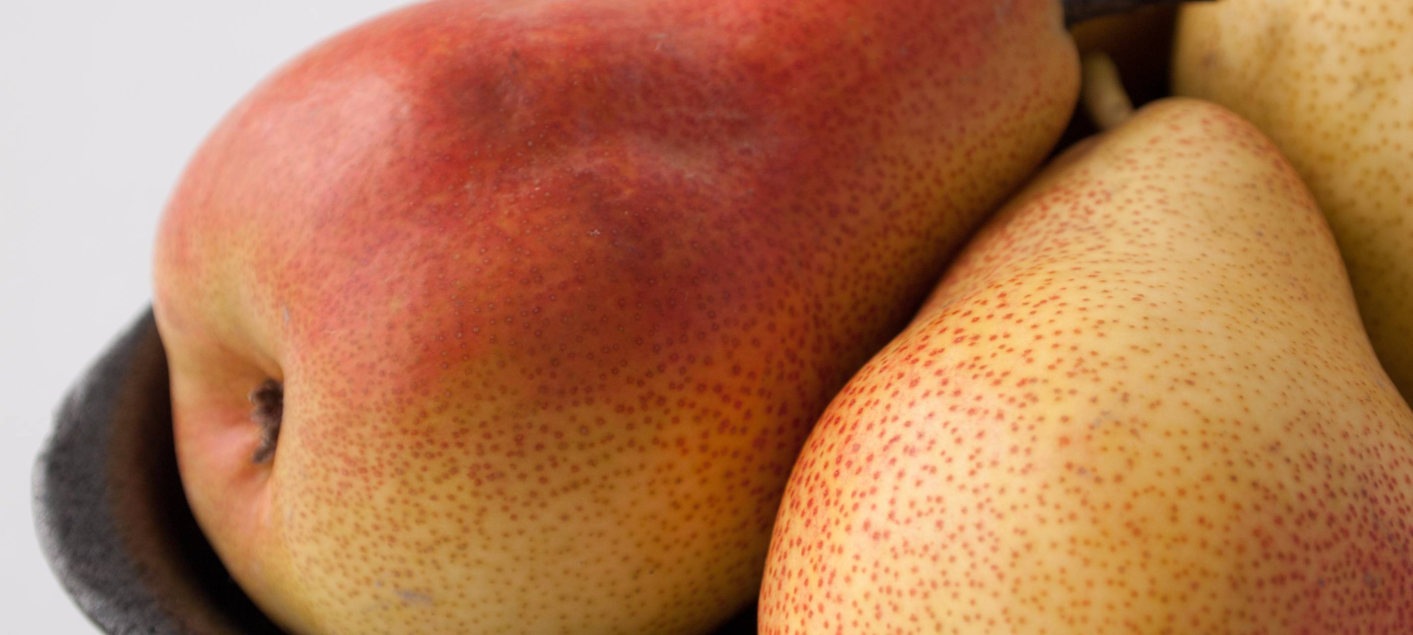 Aktion Klimabäume läuft