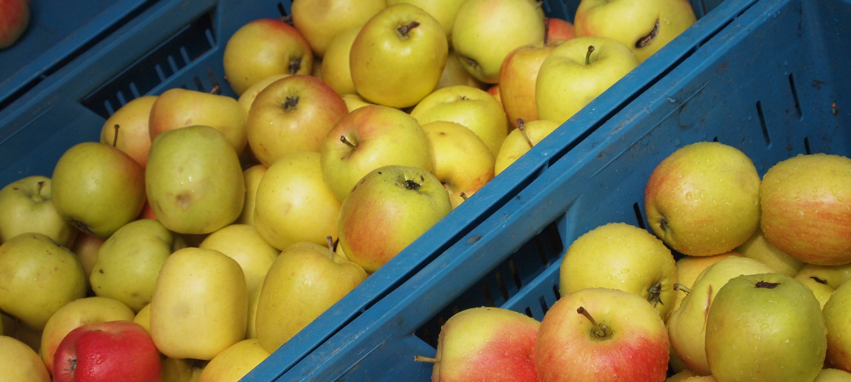 Der gute Morgen mit Lennart Hemme - Foodsharing (2.10.)