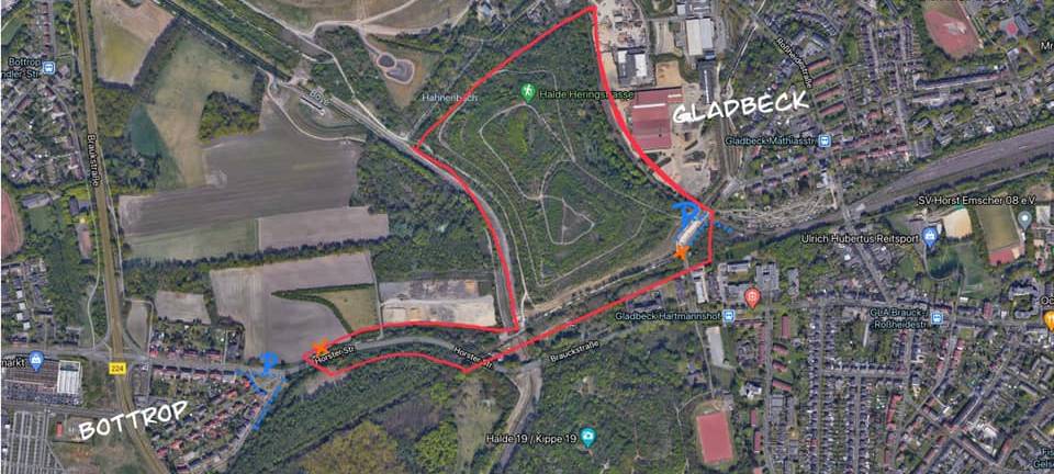 Helfer fürs "Waldfegen" in Gladbeck morgen gesucht