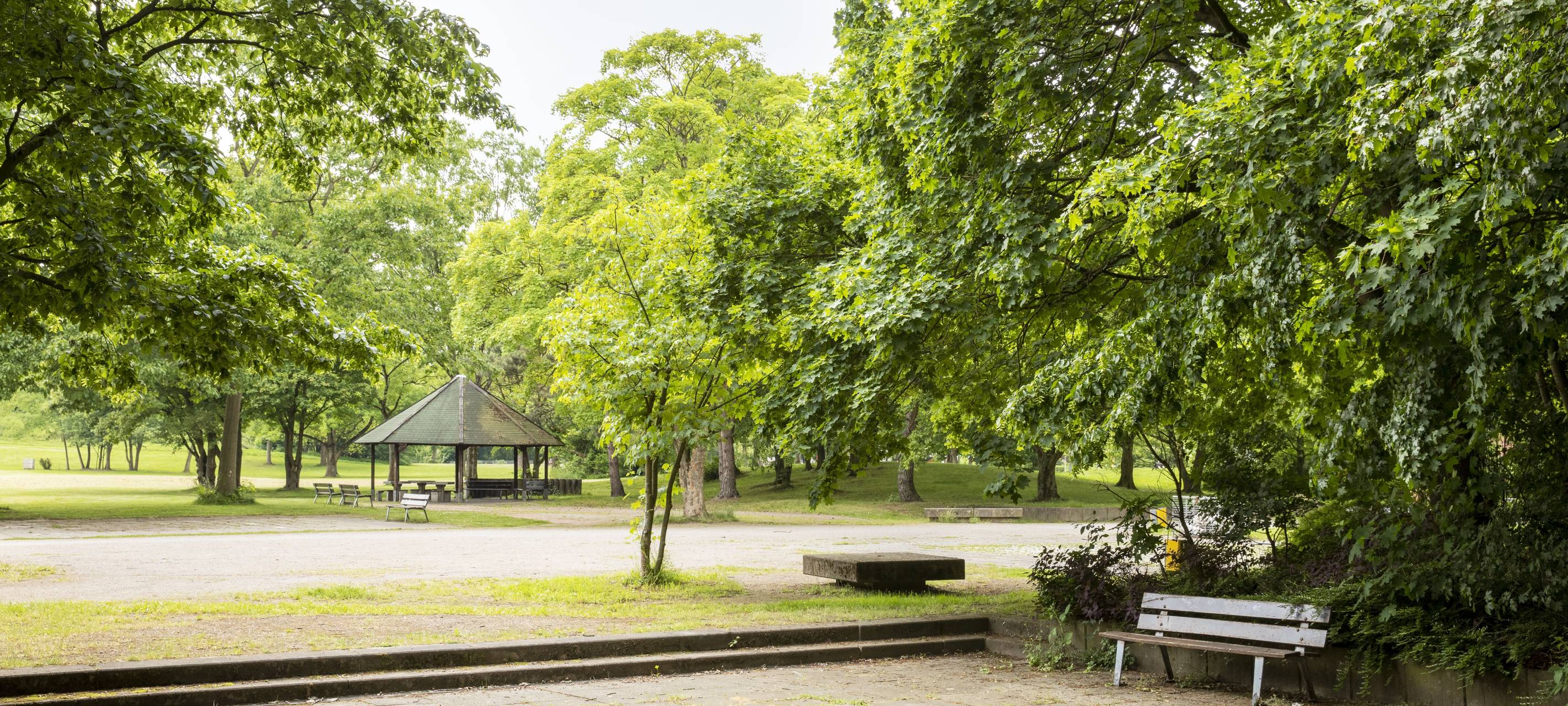Aufenthaltsfläche im Revierpark Nienhausen in Gelsenkirchen