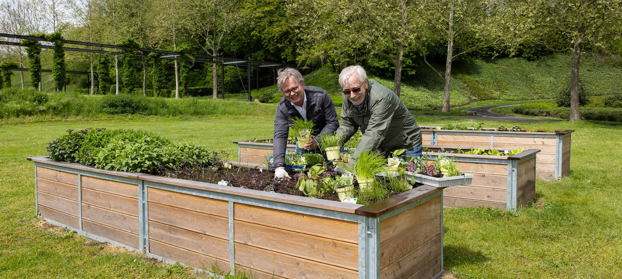Zwei Männer bepflanzen ein Hochbeet