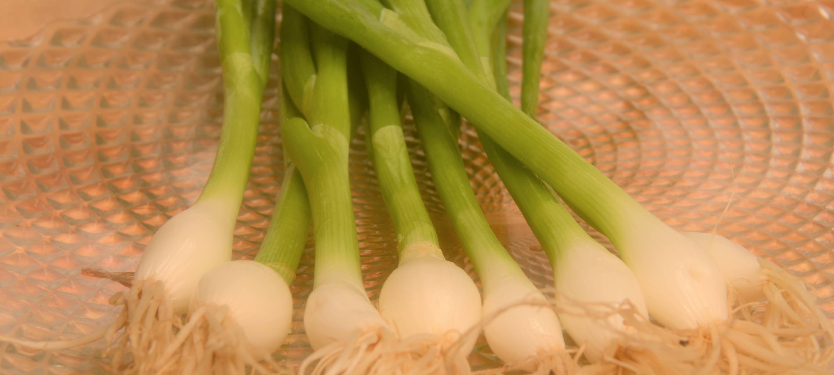 Lammkeule im Wiesenheu mit Kartoffelgratin & Frühlingsgemüse